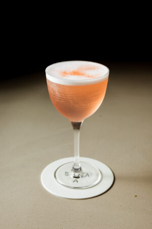 Passionfruit Martini - Image 2